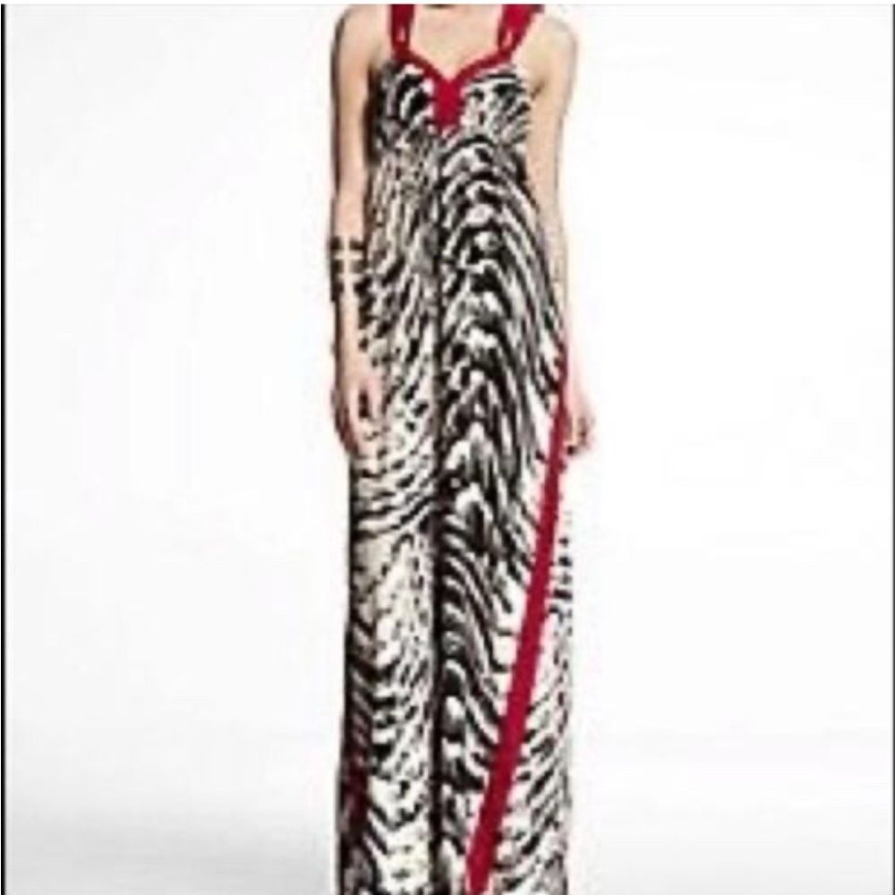 Express Feather Block Print Dress